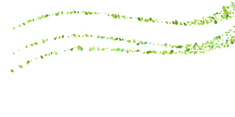 Leaves Green Falling Flying Foliage Leaf Tea Mint