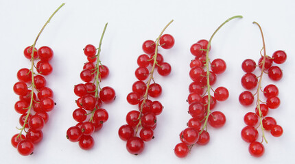 Johannisbeeren rot Rispen isoliert