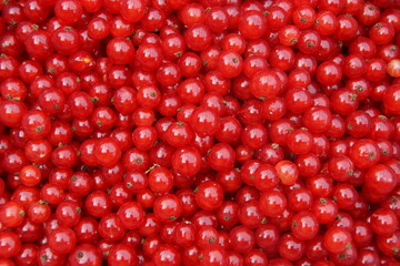 Johannisbeeren rot kleiner