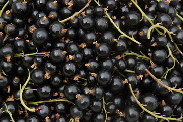 Johannisbeeren schwarz kleiner