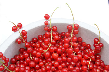 Johannisbeeren rot in Sch&uuml;ssel