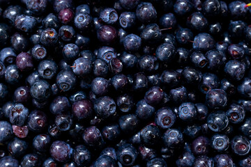 Fresh blueberry background. Blueberry Texture Close Blueberry Antioxidant Organic Superpeed Bowl Healthy Eating Concept