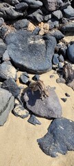rocks on the beach
