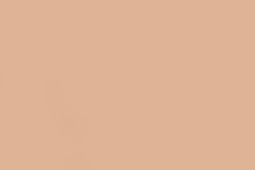 Peach pure decorative background. Template for business booklets, leaflets. Terracotta background color and texture. Purple paper.