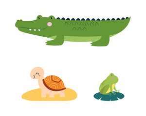 Cute wild safari African animals set. Crocodile, turtle and frog jungle animal cartoon vector illustration