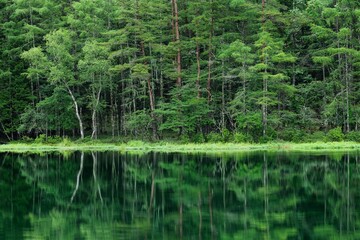 新緑の湖畔の風景　長野県御射鹿池　7月