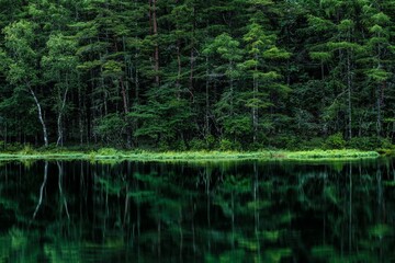新緑の湖畔の風景　長野県御射鹿池　7月