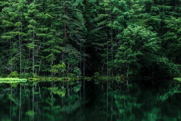 新緑の湖畔の風景　長野県御射鹿池　7月