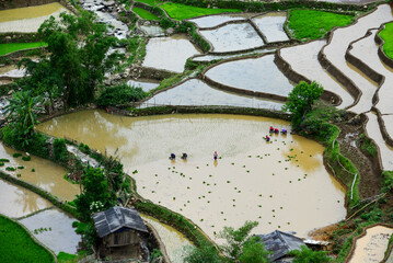traveling in Mu Cang Chai rice terraces, Vietnam