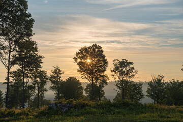 Summer morning sunrise, trees in silhouette mountain landscape.