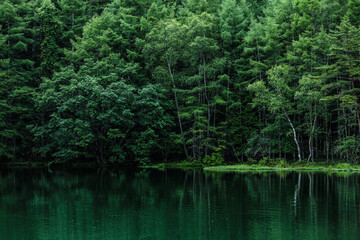 新緑の湖畔の風景　長野県御射鹿池　7月