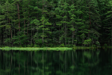 新緑の湖畔の風景　長野県御射鹿池　7月