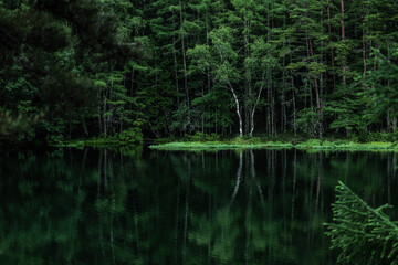 Fototapeta na wymiar 新緑の湖畔の風景　長野県御射鹿池　7月