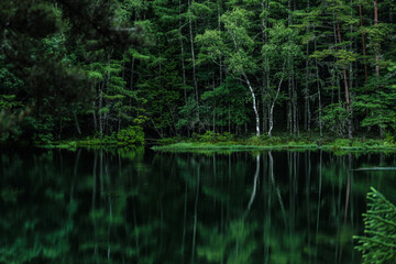 新緑の湖畔の風景　長野県御射鹿池　7月