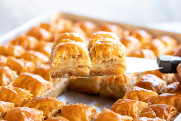 Walnut baklava. Close-up baklava in tray. Turkish cuisine.