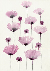 Pink with gray poppies flowers on a white background, abstract watercolor illustration.