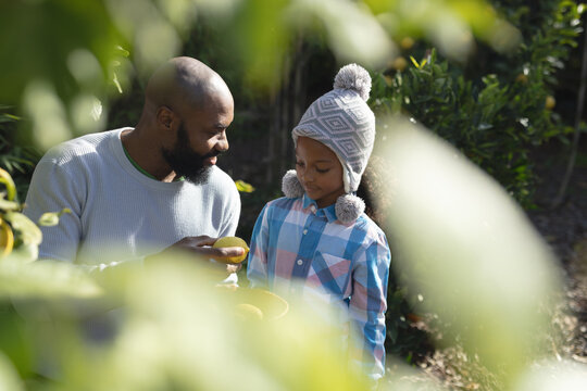 Image of happy african american father and daughter holding bowl with lemons