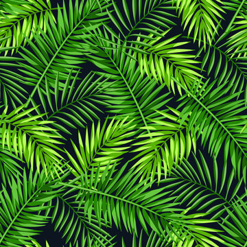 Tropical seamless pattern with green palm leaves on a black background. Vector illustration