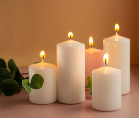 Fototapeta na wymiar Set of white and pink burning wax candles with green leaves