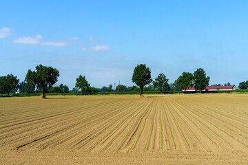 Fototapeta na wymiar Rural landscape near Lodi, Italy