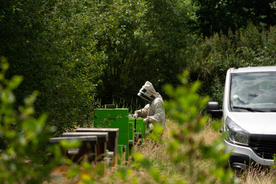 Beekeeper Inspecting Beehives In Protection Outfit