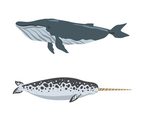 Oceanic and sea animals set. Sword fish, whale marine inhabitants cartoon vector illustration