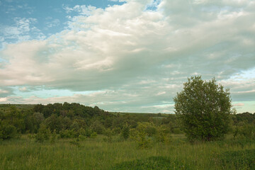 Fototapeta na wymiar landscape with clouds