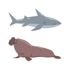 Oceanic and sea animals set. Shark, seal marine inhabitants cartoon vector illustration