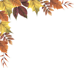 Watercolor autumn floral corner. Frame with fall maple, rowan leaf. Botanical illustration for design thanksgiving card, invitation. Isolated on white background.