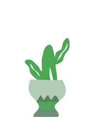 Obraz premium cactus in a pot