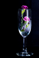 Champagne glass with ice and carnation flowers on a dark background.