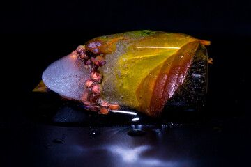 Ice with buds and autumn leaves of ninebark on a dark background. - obrazy, fototapety, plakaty