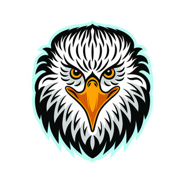 Vector illustration of Bald eagle. Eagle head on white background. Can be used as mascot. For tattoo or T-shirt design or outwear.