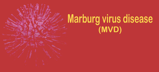 Marburg virus disease. Marburg virus disease (MVD) or Marburg haemorrhagic fever outbreak concept. Virus causes severe viral haemorrhagic fever in humans. Fatal illness in humans. Infectious disease.