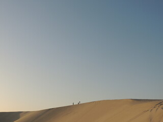 Fototapeta na wymiar sand dunes in the desert of Qatar