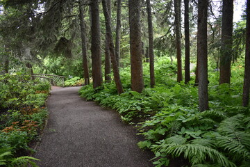 A garden path, Métis, Québec, Canada