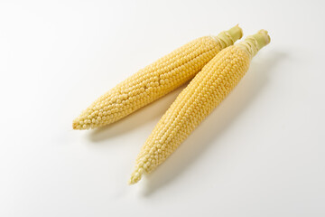 とうもろこしを白背景で