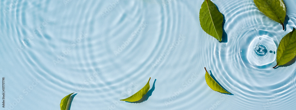 Sticker Transparent and clean blue water and green background of natural leaves