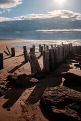 Wooden posts on the beach