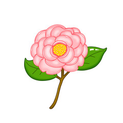 ピンク色の花（椿）