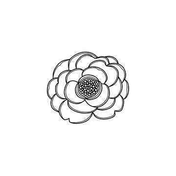 recommend clip art: 花（椿）の線画