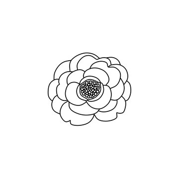recommend clip art: 花（椿）の線画
