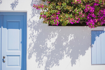 White architecture on Santorini island, Greece. Blue door and pink flowers on the facade