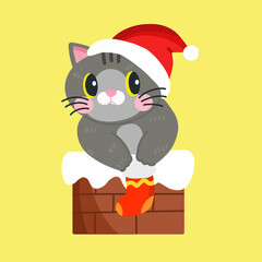 cute cat for Christmas day