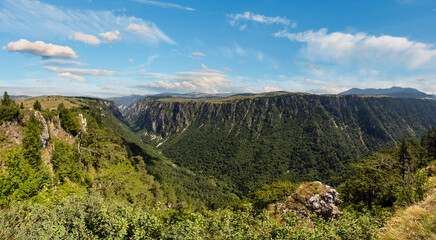 Summer Tara Canyon in mountain Durmitor National Park, Montenegro