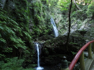 japanese water fall