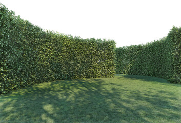 Obraz premium Lawns and shrubs with a white background