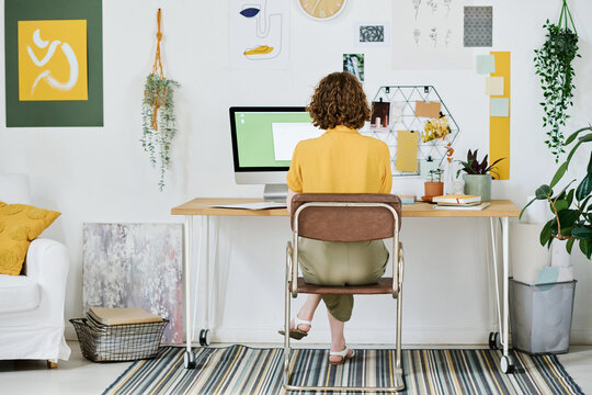 Rear View Of Young Female Freelancer In Casualwear Sitting By Workplace In Front Of Computer Monitor And Creating New Websites At Home