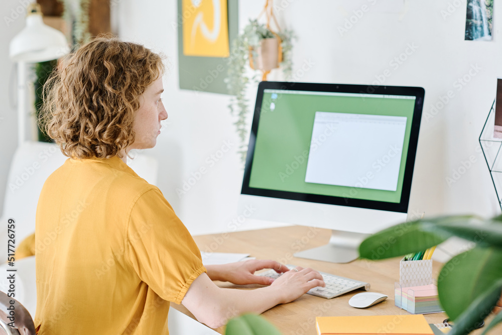 Poster Young female freelancer or designer sitting in front of computer monitor while working over new online project or creating website