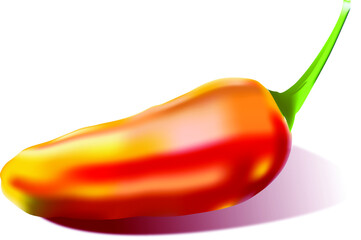 Red Chili Pepper illustration.